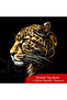 Leopard Digital Floor Pattern Crystal Stone Printed Black T-Shirt - 4