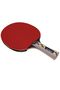 مضرب تنس الطاولة المعتمد من ITTF - 2