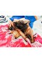 Cute Dog Patterned Digital Printed Bathroom Curtain - Single Wing C Ring, 180x200 Cm - 2
