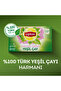 Green Tea Soft Drinking 20-Piece Cup Poset X 4 Pieces - 2