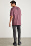 Luther Men's Crew Neck 100% Cotton Washed Purple T-shirt with Print Detail - 5