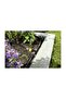 Rain Box Drip Irrigation System - 2