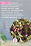 Relax Tea Multi-Effect Herbal Tea That Brings Sleep 200 Gr - 2