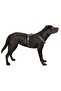 Dog Harness - 40 - 60 cm - 2