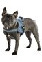 Waist Dog Collar Maestro 2.0 - S 45-60 Cm X 15 Mm - 3