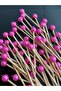 No:50 - 50 Pieces Decorative Beaded Engagement Birthday Cupcake Mevlüt Ornament Toothpick - 2