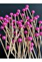 No:50 - 50 Pieces Decorative Beaded Engagement Birthday Cupcake Mevlüt Ornament Toothpick