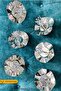 Japongulu Silver 6 Pieces Turkish Delight Bowl, Presentation, Treat Coffee Side - 4