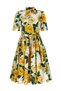Women's Premium Quality Flounced Waist-Sitting Yellow Floral Dress