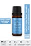 10 Ml Throat Chakra Aromatherapy Mix