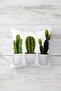 Cactus Patterned Hidden Zippered Throw Pillow Cover Sofa Pillow Cover Set (4pcs) - 5