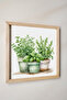 Watercolor Effect Pot Basil, Laurel Painting in a Wooden Frame Watercolor - 2