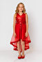 Girl's Sequined Sleeveless Zippered Evening Dress