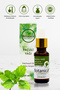 Pogostemon Cablin Patchouli Oil - Aromatherapy Patchouli Essential Oil - 20 ml Hair and Skin Care