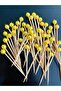 No:47 - 50 Pieces Beaded Decorative Engagement and Birthday Cupcake Mevlüt Toothpick