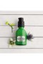 Drops of Youth™ Youth Fresh Emulsion Spf 20 Pa+++ 50ml - 3