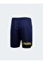 Fb 23 Navy Blue Shorts - 6