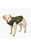 Gap Dog Jacket - 6