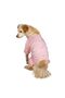 Gap Dog Pajamas - 8