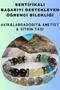Student Bracelet Supporting Success - Certified Agate, Labradorite, Amethyst, Citrine Bracelet
