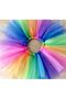 Multicolored Show Tutu Skirt