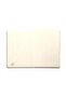 CAMEL DEFTER WRITE YOUR STORY - 2