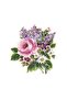 Xl03 35x50 أرض الورد