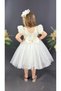 Embroidered Tutu Skirted Birthday & Special Occasion Children's Evening Dress (It Is Recommended to Buy 2 Sizes Larger) - 2