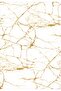 Marble Patterned Non-Slip Base Washable Set of 2 Bathroom Carpet Mat Toilet Seat Set Kt-kzht-420 - 2
