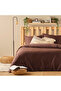100% Cotton Satin Supreme Basic King Size Duvet Cover Set Brown (240X220 cm)