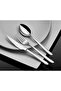Elegance Model Tea Spoon 304 Quality 3 mm 12 Persons - 3