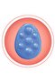 ضمادة Nexus Ref 883 Epicondylitis - 2