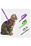 Cat Collars
