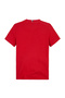 Boys T-Shirts - 2
