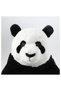 Djungelskog Plush Bear Panda Sleeping and Playmate 50 Cm - 3