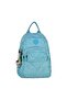 Women's Daily Wrinkle Compartment Backpack - Small