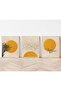 Minimalist 3-Piece Painting with Wooden Frame Qmrc - 2
