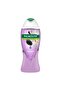 Shower Gel Blackberry 500 ml
