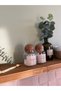 Set of 2 Wooden Covered Glass Cotton Pots / Cotton - Ear Cotton Vintage Label - 4