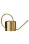 Decorative Watering Pot Metal Watering Pot Plant Watering Pot - 5