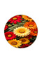 Floral Blooming Floral Patterned Decorative and Woven Base Washable Carpet Miravip8853 - 4