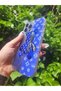 Balporsuku Xiaomi Redmi 12 C Compatible BKDYG Printed Cases X-ray Bear Bleu - 5