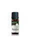 Rosemary Oil - Rosmarinus Officinalis - (Acne Drying) Rosemary Oil Skin Care Diffuser 10 ml - 2
