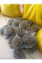 Marble Toy 200 Pieces Ball Glass Pure and Assorted Toy Set