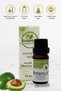 Avocado Oil - Persea Americana - Skin Care Avocado Oil Treatment Oil Avocado Oil 10 ml