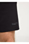 Black Regular Fit Sweat Shorts - Regular Cut and Waist - 2