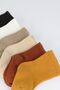 Bistyle - Set of 6 Yellow Combed Cotton Hoop Socks - 4
