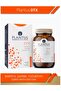 Dtx Bitkisel Kapsül - Detoks - 2