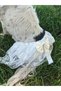 Dog Dress Wedding Gown Special Occasion Evening Dress with Veil White Tulle - 4