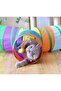 Rainbow Color Folding Cat and Dog Play Tunnel, Fun Pet Toy Tunnel - 4